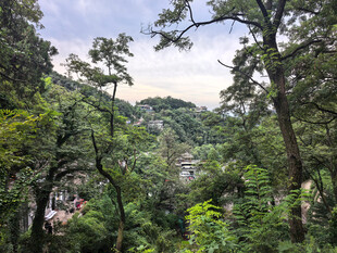 泰山