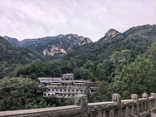 泰山
