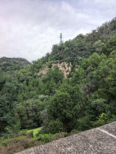 泰山