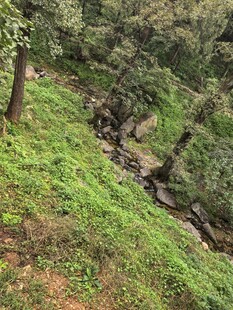 泰山