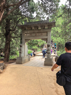泰山