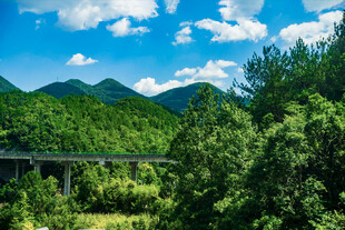山间绿意与桥梁风景