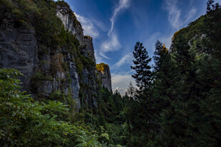山间峡谷绿意盎然美景
