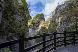 山间栈道旁的壮丽峡谷景观