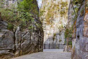 山间狭道绿植伴石壁