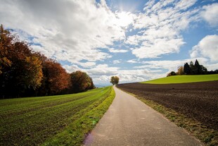 秋日乡间小路风景