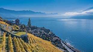 湖畔田园风光美景