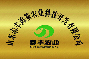 泰丰农业  鸿基农业