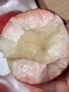 水蜜桃