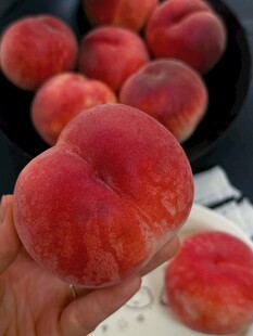 水蜜桃