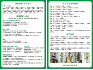 绿植养护售后卡