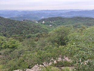 风景