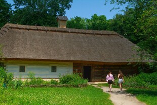 乡村茅草屋前的温馨场景