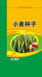 小麦种子