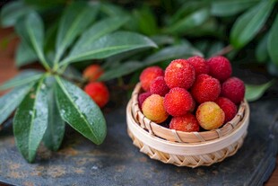 竹篮中的新鲜诱人杨梅