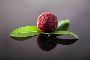 鲜红杨梅配绿叶