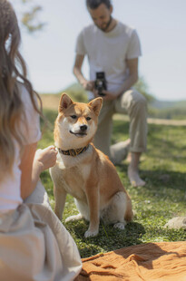 情侣与柴犬的惬意户外时光