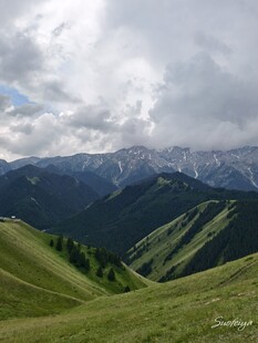 伊犁山景