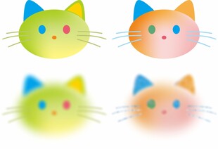猫咪