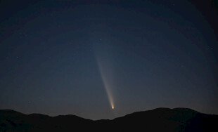 紫金山彗星