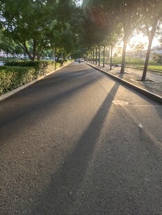 夕阳下的阳光道路