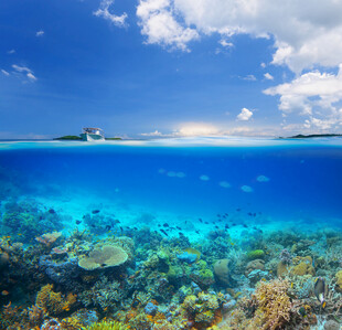 海底珊瑚与海面蓝天美景