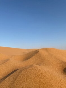 金色沙丘蓝天映衬美景