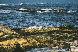 海边礁石海浪翻涌之景