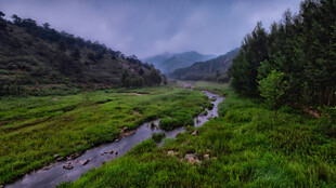 山间溪流绿野葱茏之景