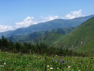 山间草地美景
