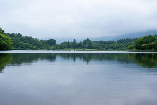 宁静湖面与远处山林之景