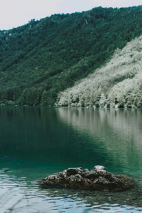 宁静湖畔的自然景致