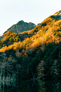 夕阳下的山林美景