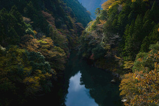 峡谷秋色