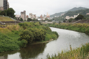 河畔城市风光