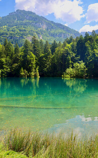 翠绿湖水与山林美景
