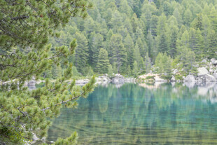 山林间的静谧碧绿湖水