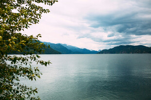 湖畔景致