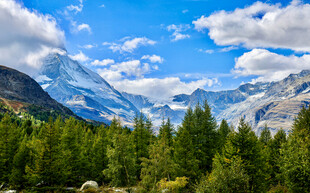 高山森林间的壮丽美景