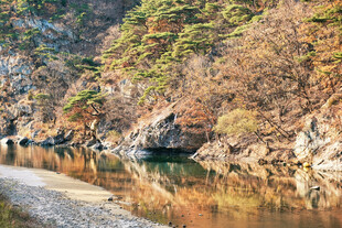 山间溪流秋色倒影美景