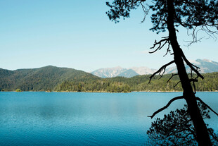 宁静湖畔松影与远山美景