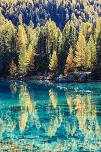 秋日湖畔美景