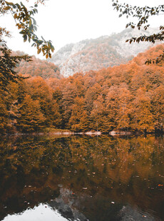秋日山林湖泊美景