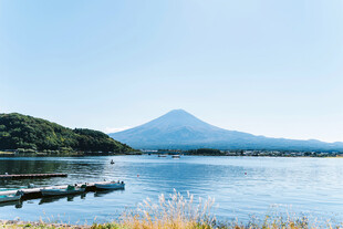 富士山下的宁静湖畔风光
