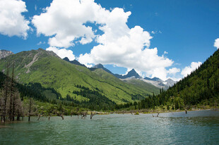 青山碧水间的秀丽湖景