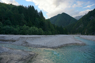 山间清澈河流与葱郁山林