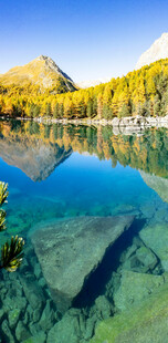 清澈湖水映山林美景