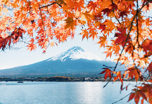 秋日富士山与红叶美景