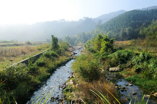 山间溪流晨景