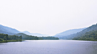 宁静山水间的湖景风光